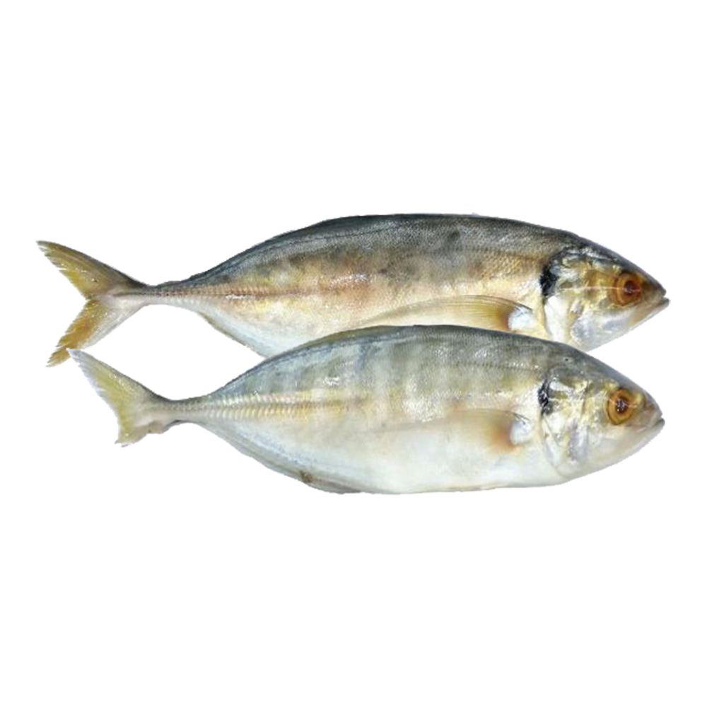 Adav Fish 1 kg