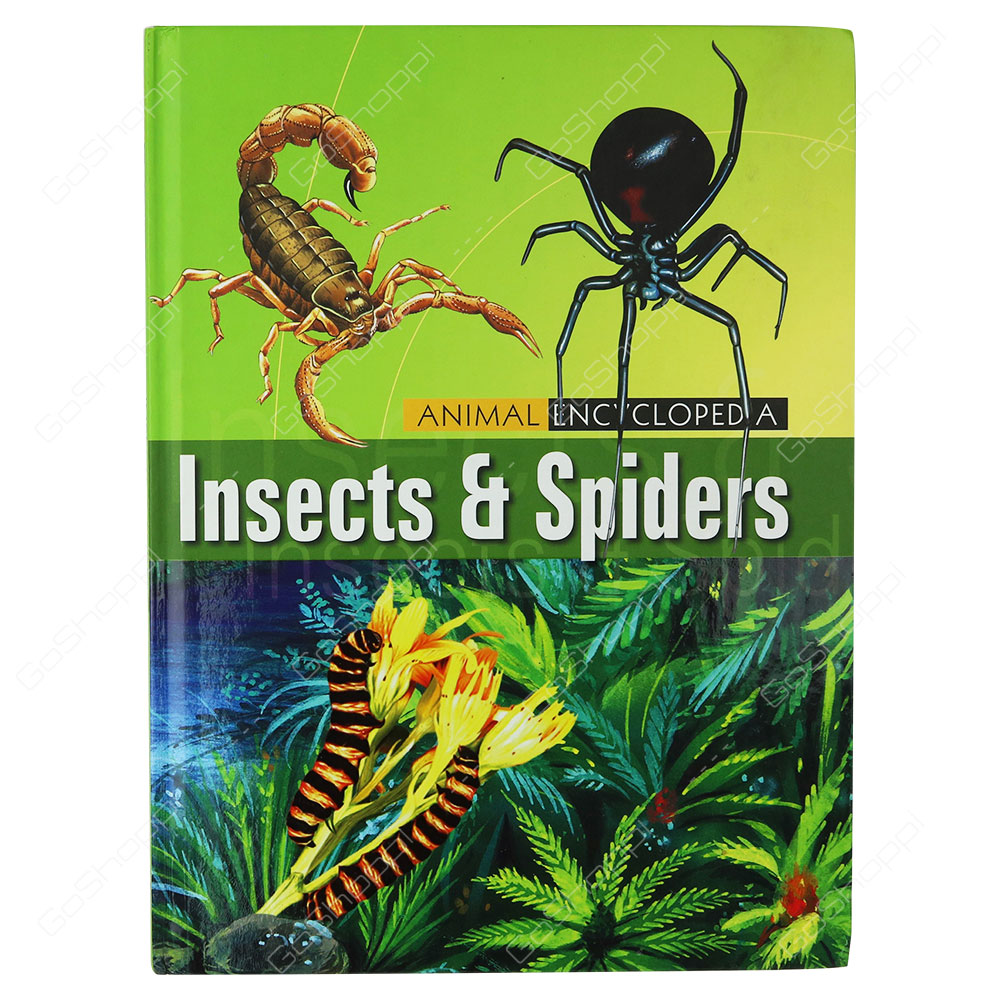 Animal Encyclopedia - Insects And Spiders