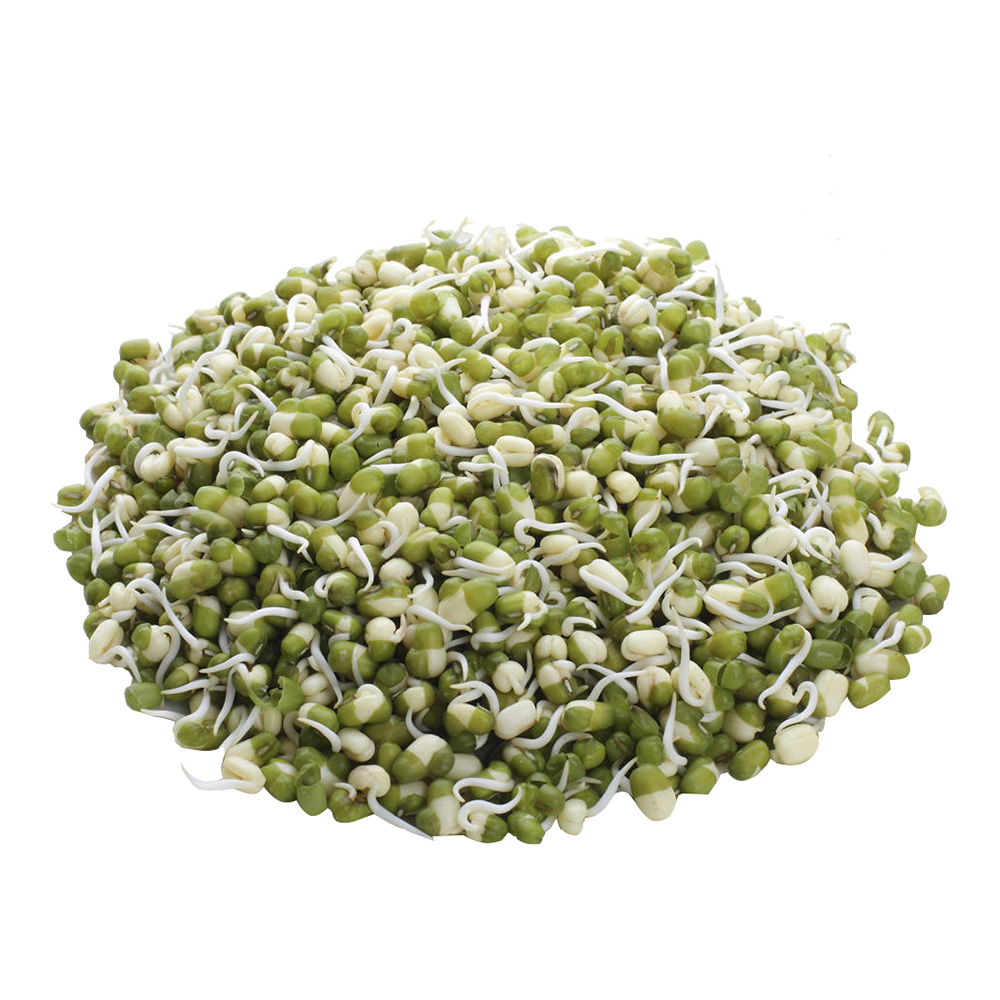 Bean Sprouts 1 kg