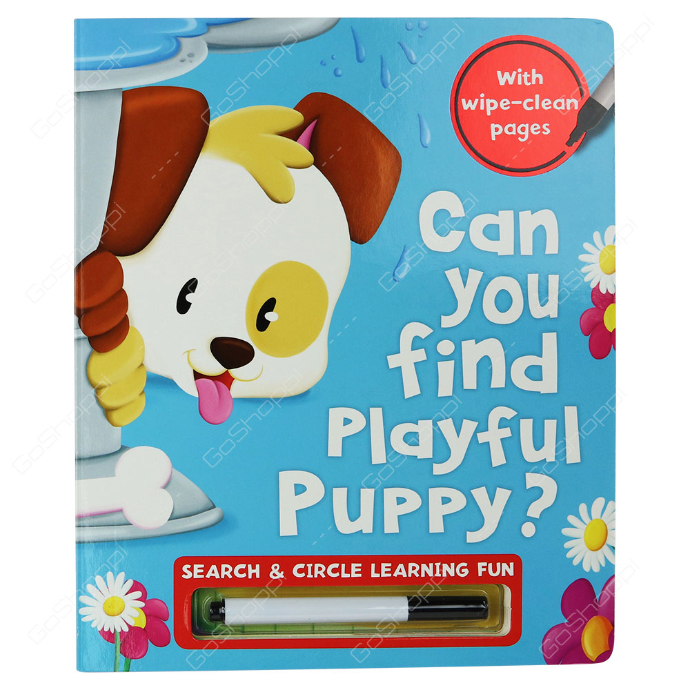 Can You Find Playful Puppy?