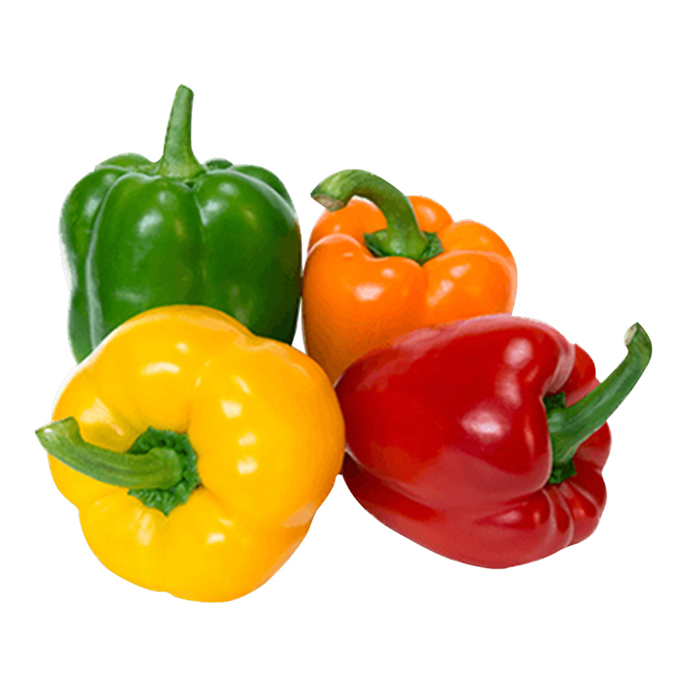 Capsicum Mixed 1 kg