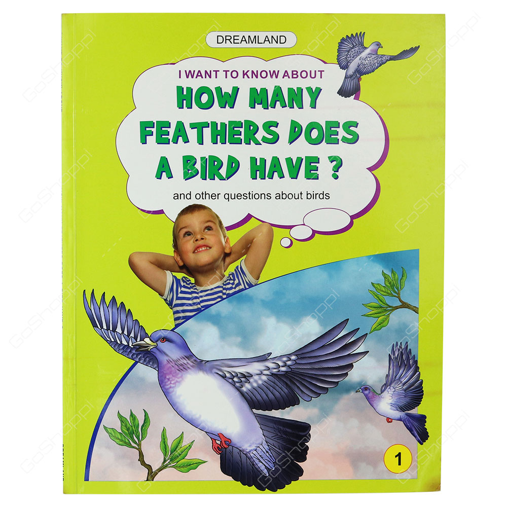 Dreamland - How Many Feathrs Does A Bird Have? 1st Book By Ruchi Batra