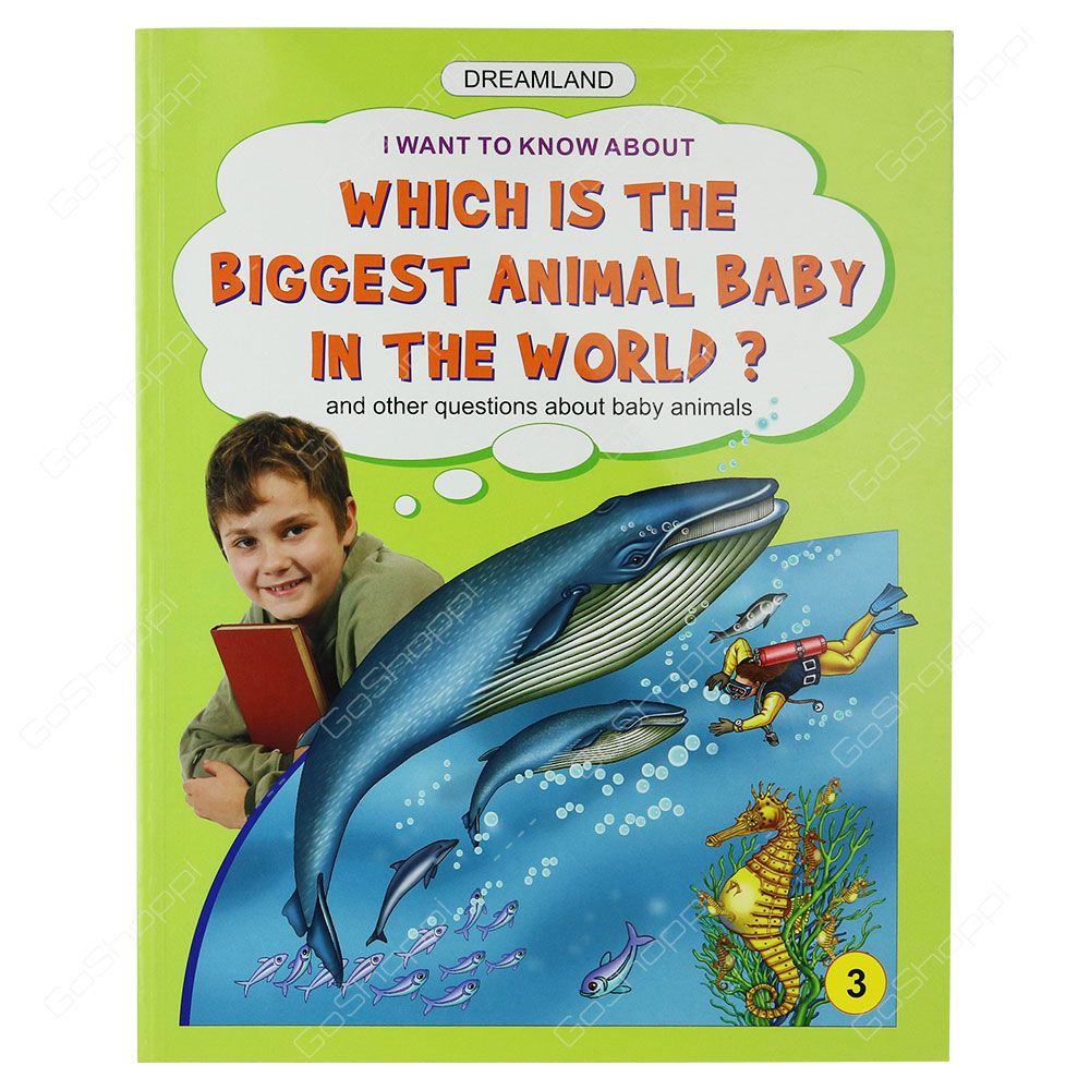 Dreamland - Which Is The Biggest Baby In The World? 3rd Book By Meesha Khanna