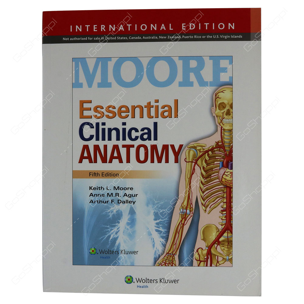 Essential Clinical Anatomy By Keith L. Moore