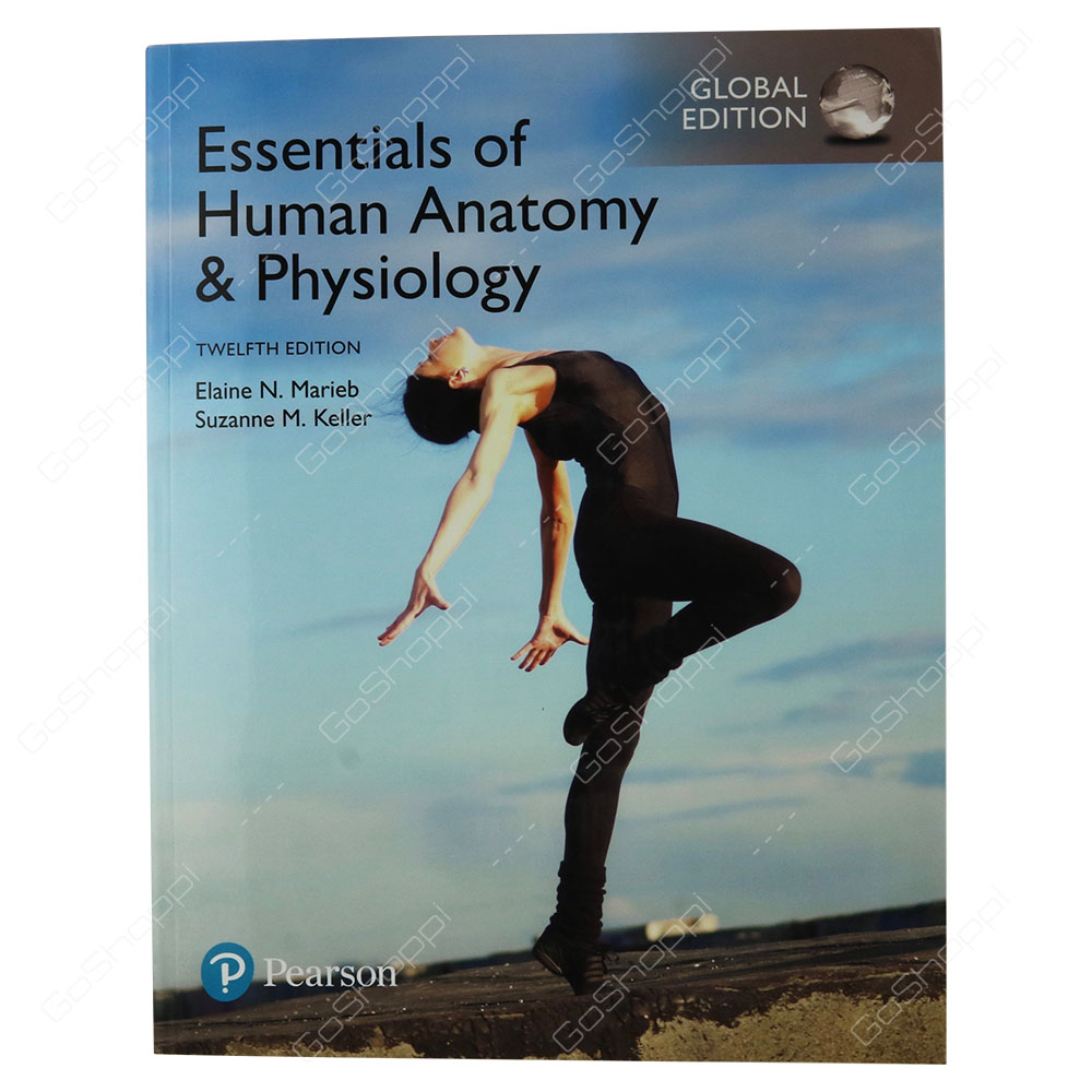Essentials Of Human Anatomy & Physiology Global Edition By Elaine N. Marieb