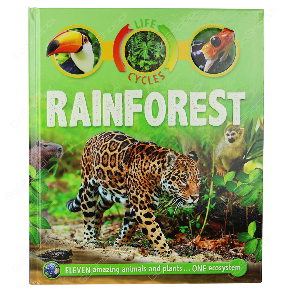 Life Cycles - Rainforest By Sean Callery