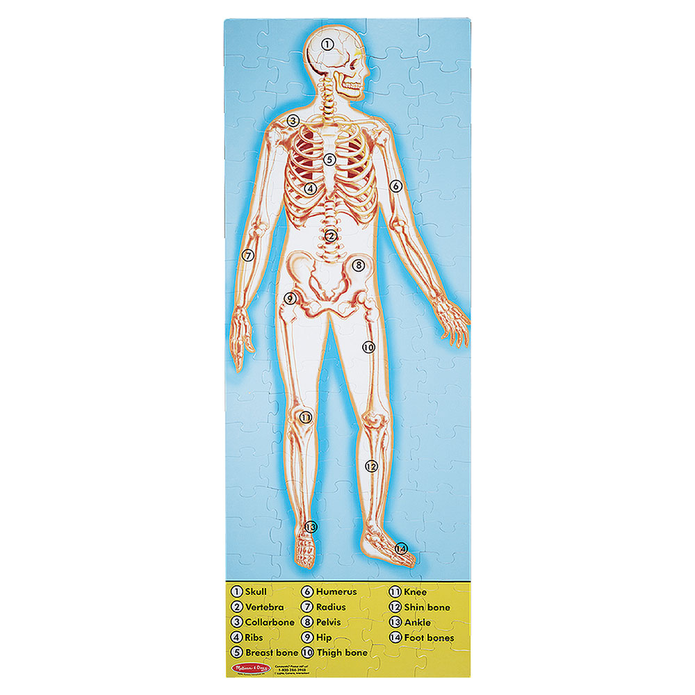 Melissa And Doug Human Anatomy 100 Pc Floor Puzzle