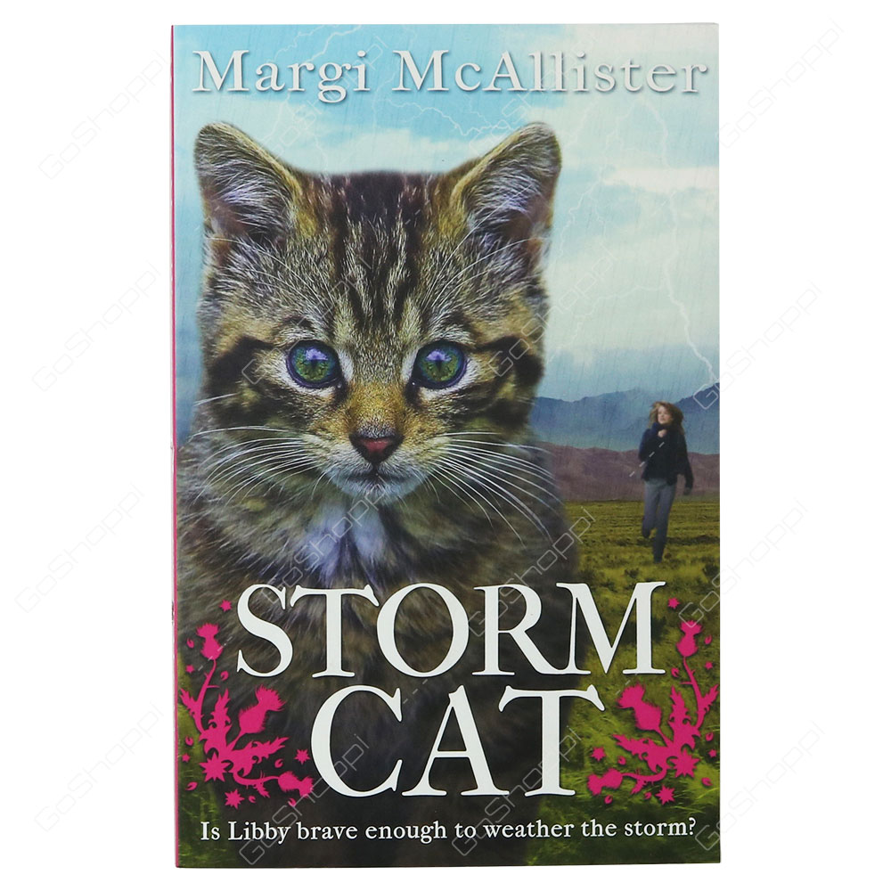 Storm Cat By Margi McAllister