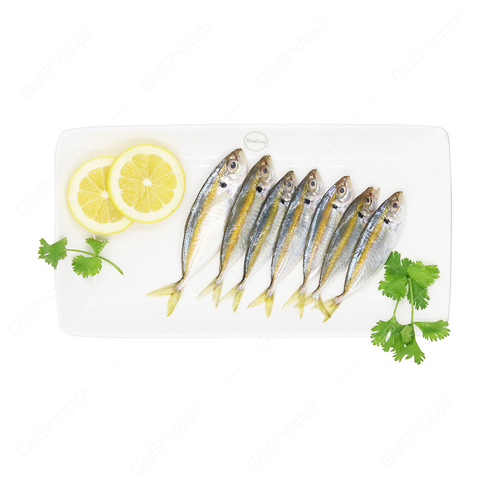 Mackerel Fish Small 1 kg