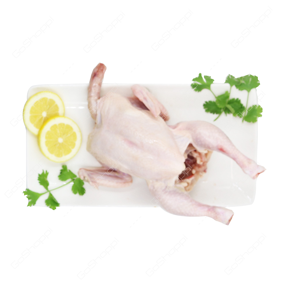 Fresh Chicken 1 kg