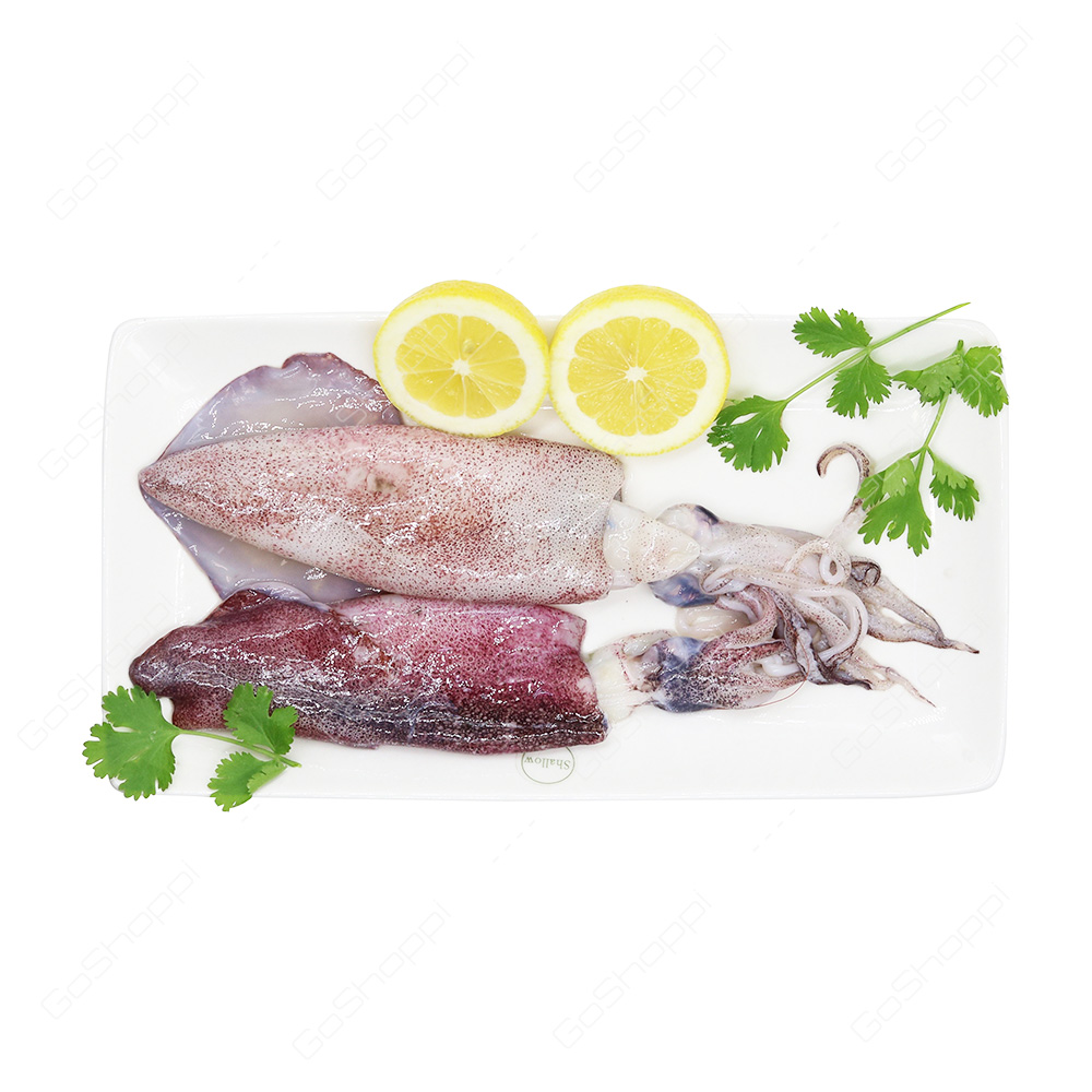 Squid 1 kg