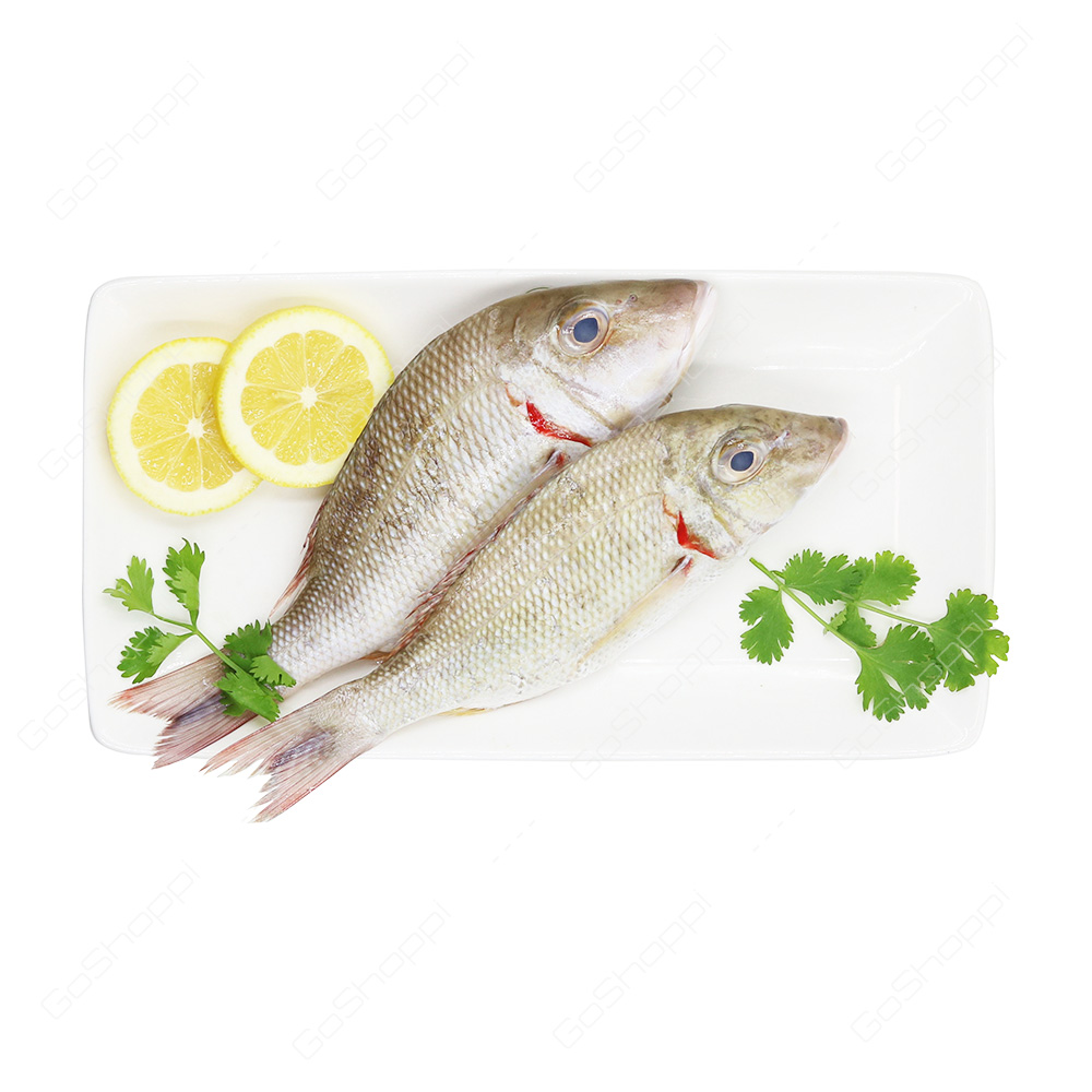 Sheri Fish 500 g