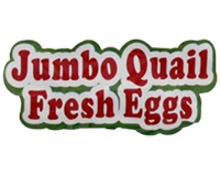 Jumbo Quail