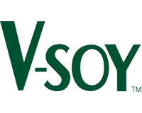 V Soy
