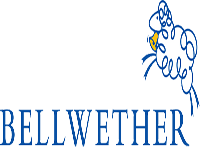 BELLWETHER MEDIA