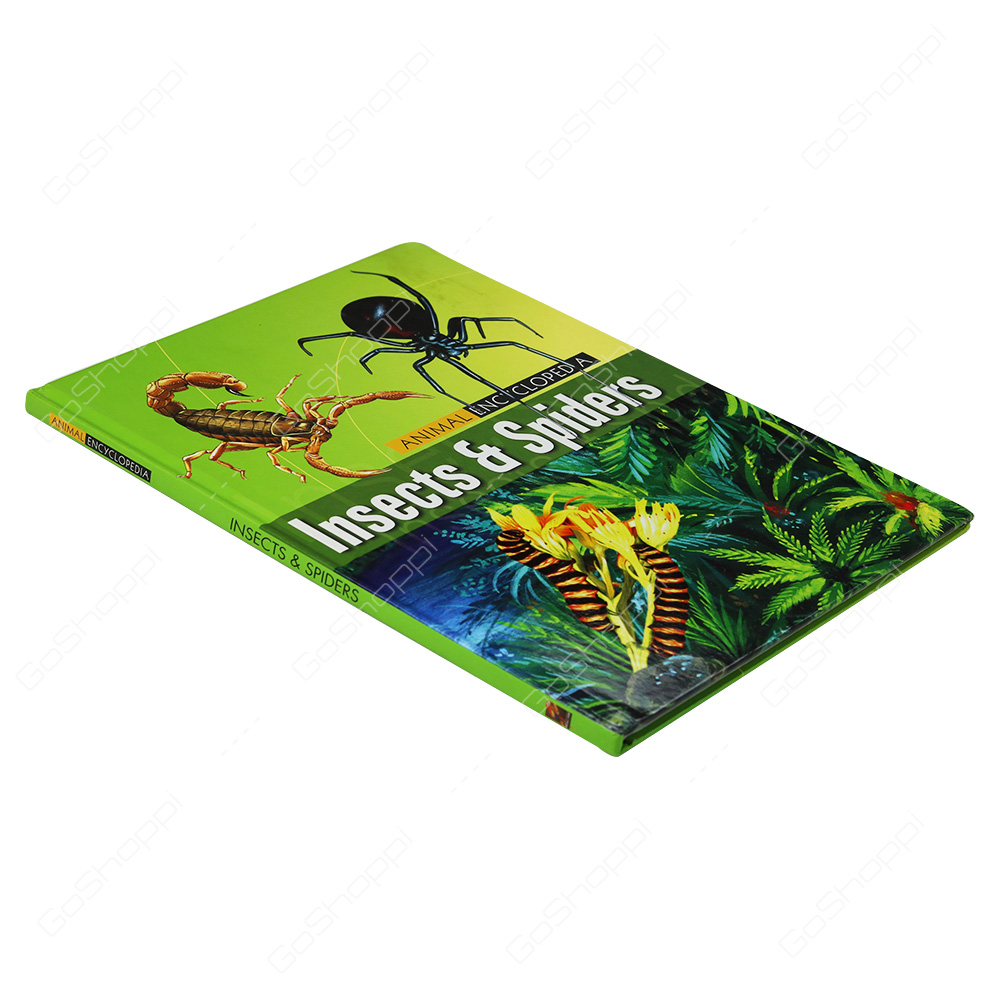 Animal Encyclopedia - Insects And Spiders