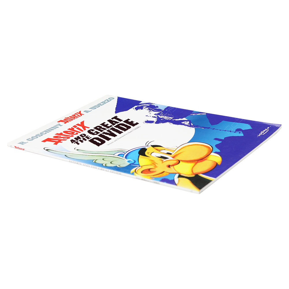 Asterix - Asterix And The Great Divide Album 25