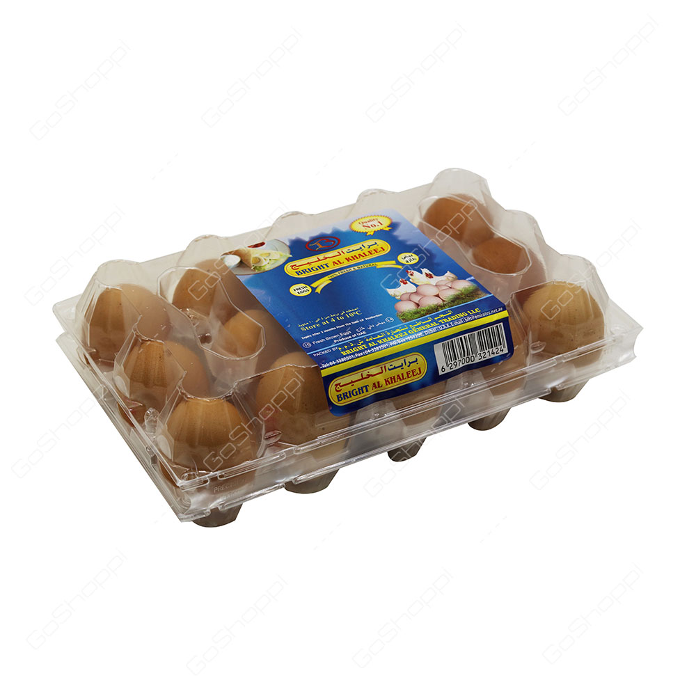 Bright Al Khaleej Fresh Brown Eggs 15 pcs