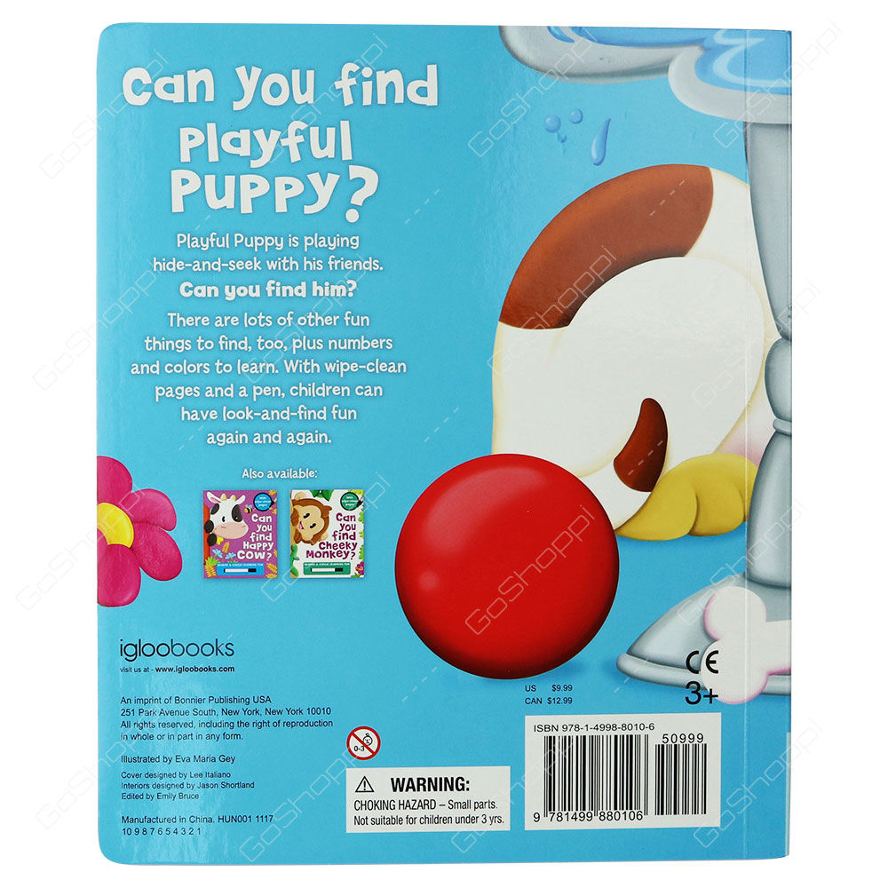 Can You Find Playful Puppy?