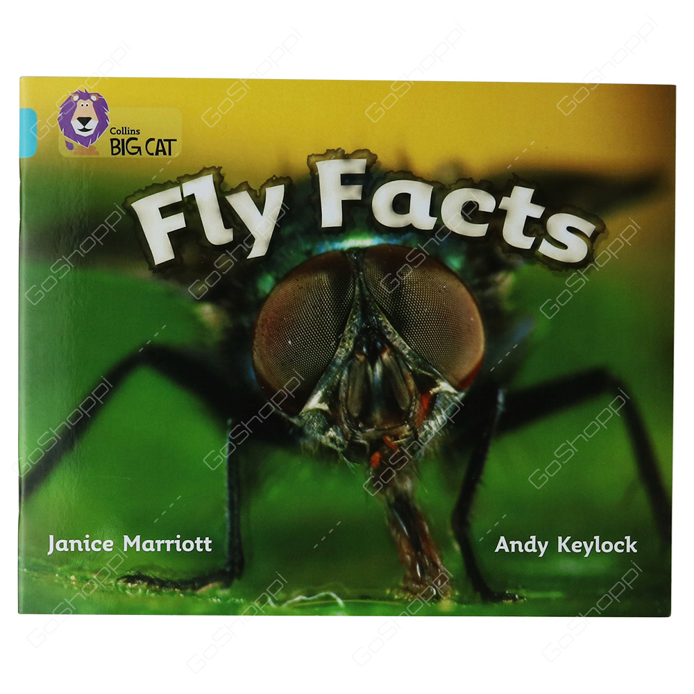Collins Big Cat - Fly Facts By Janice Marriott