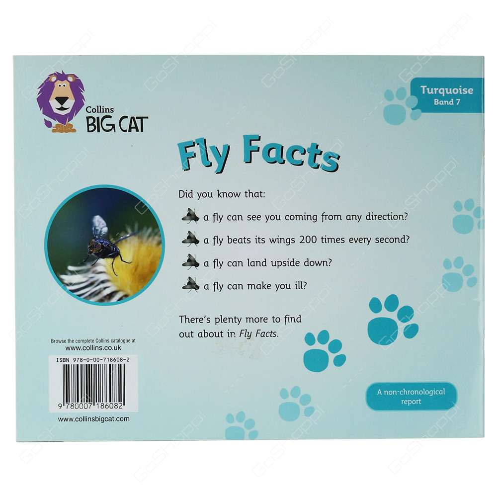 Collins Big Cat - Fly Facts By Janice Marriott