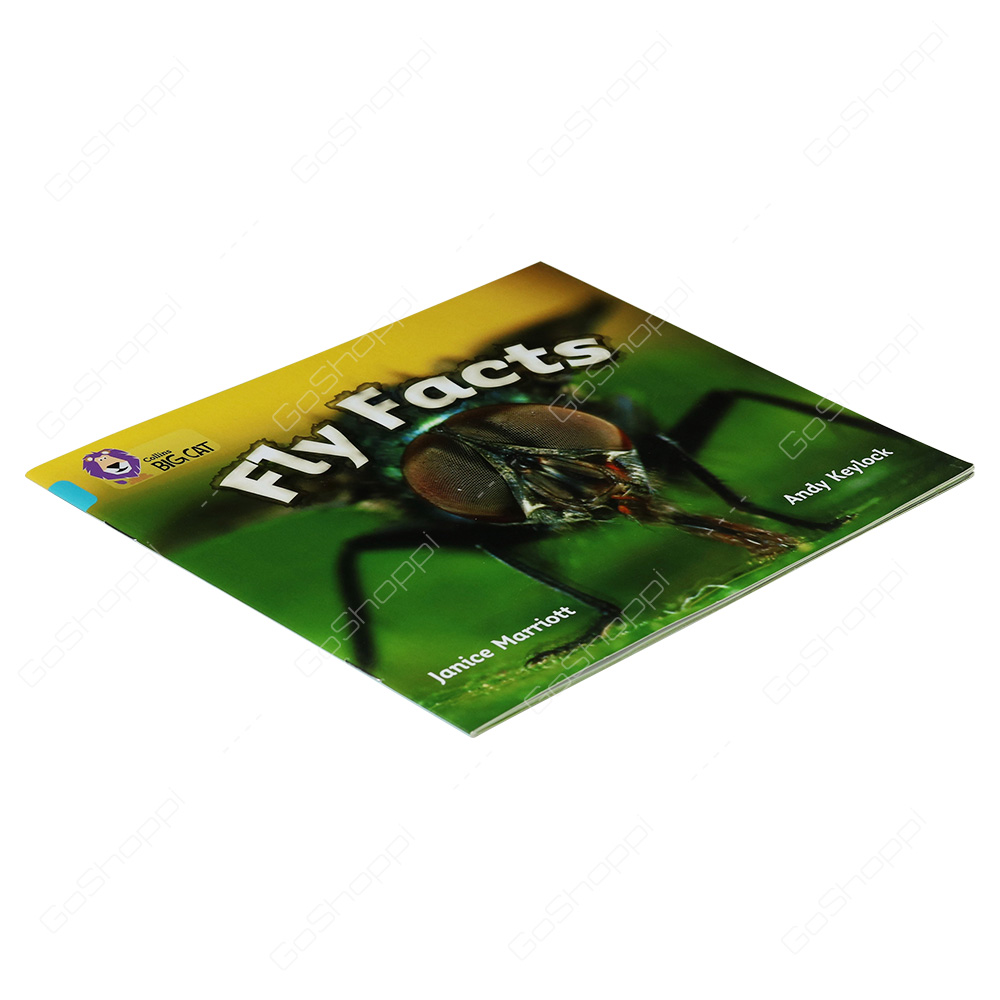 Collins Big Cat - Fly Facts By Janice Marriott