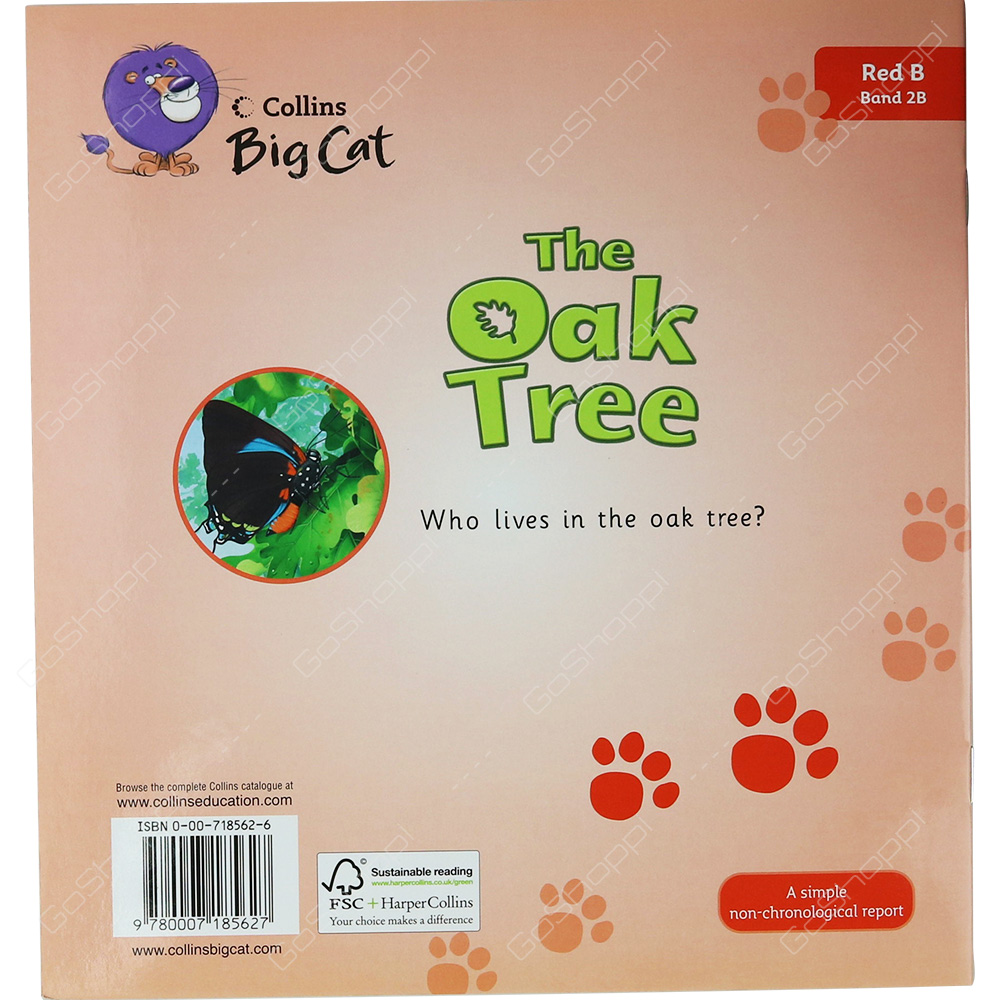 Collins Big Cat - The Oak Tree By Anna Owen