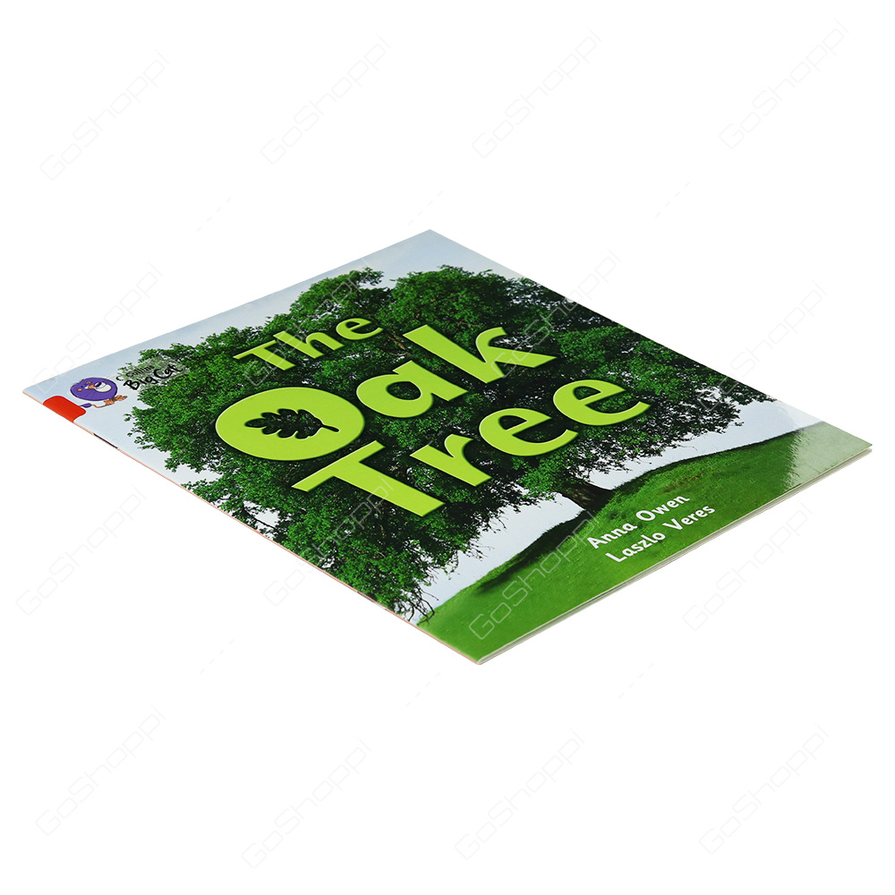 Collins Big Cat - The Oak Tree By Anna Owen