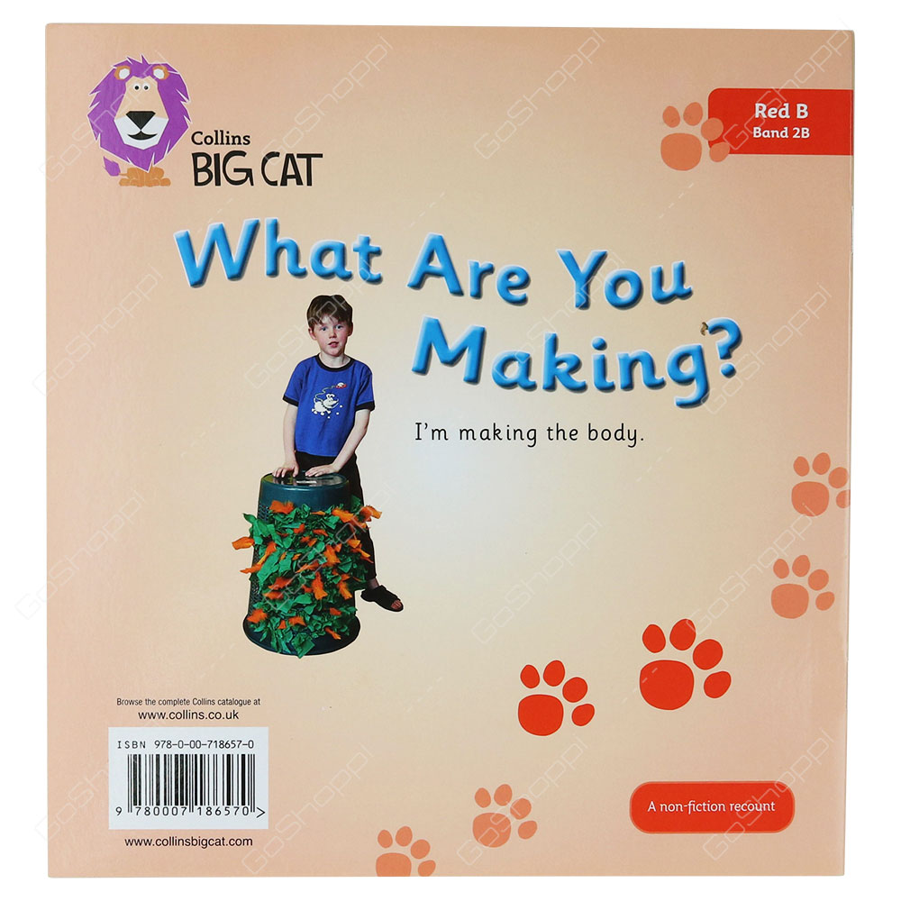 Collins Big Cat - What Are You Making? By Alison Hawes
