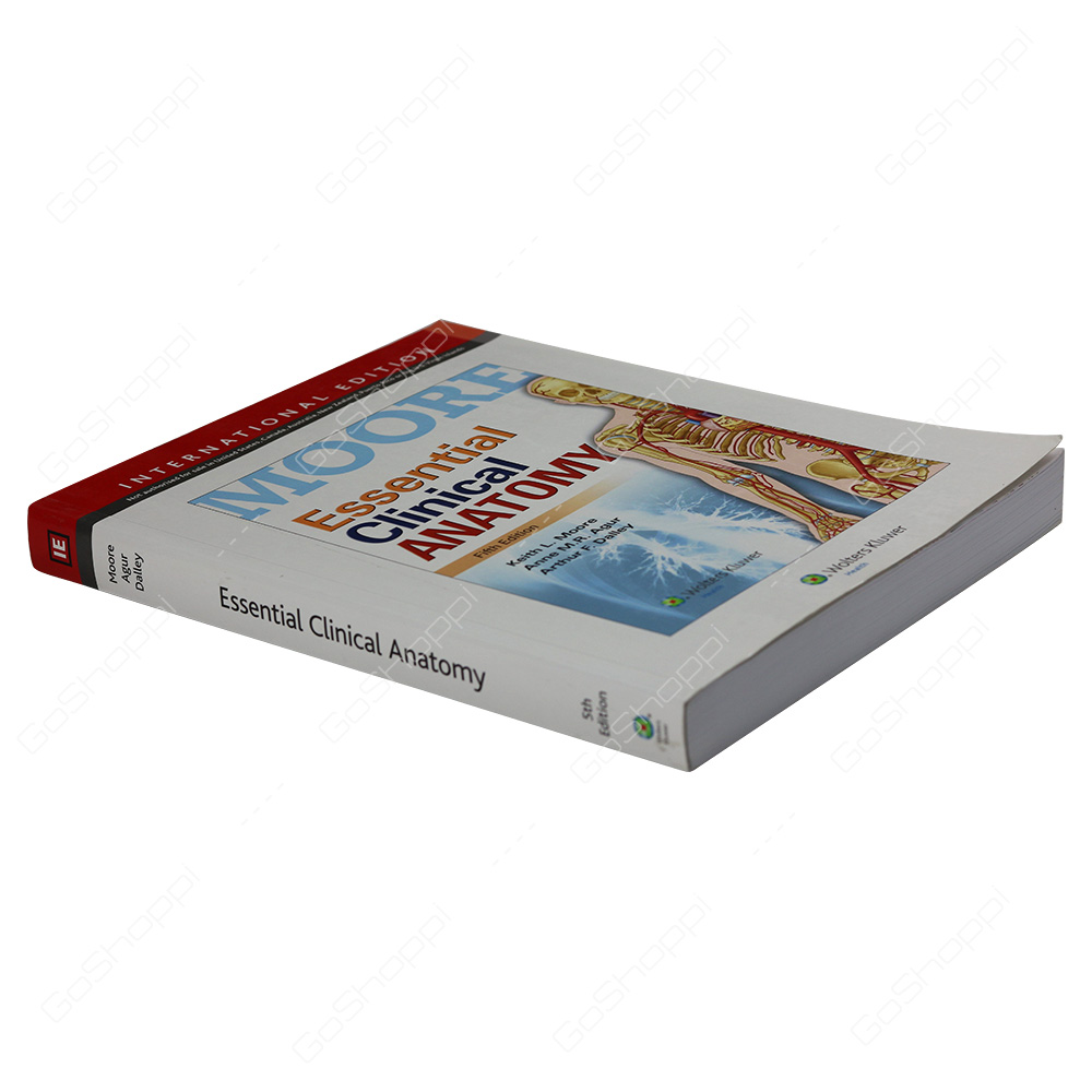 Essential Clinical Anatomy By Keith L. Moore