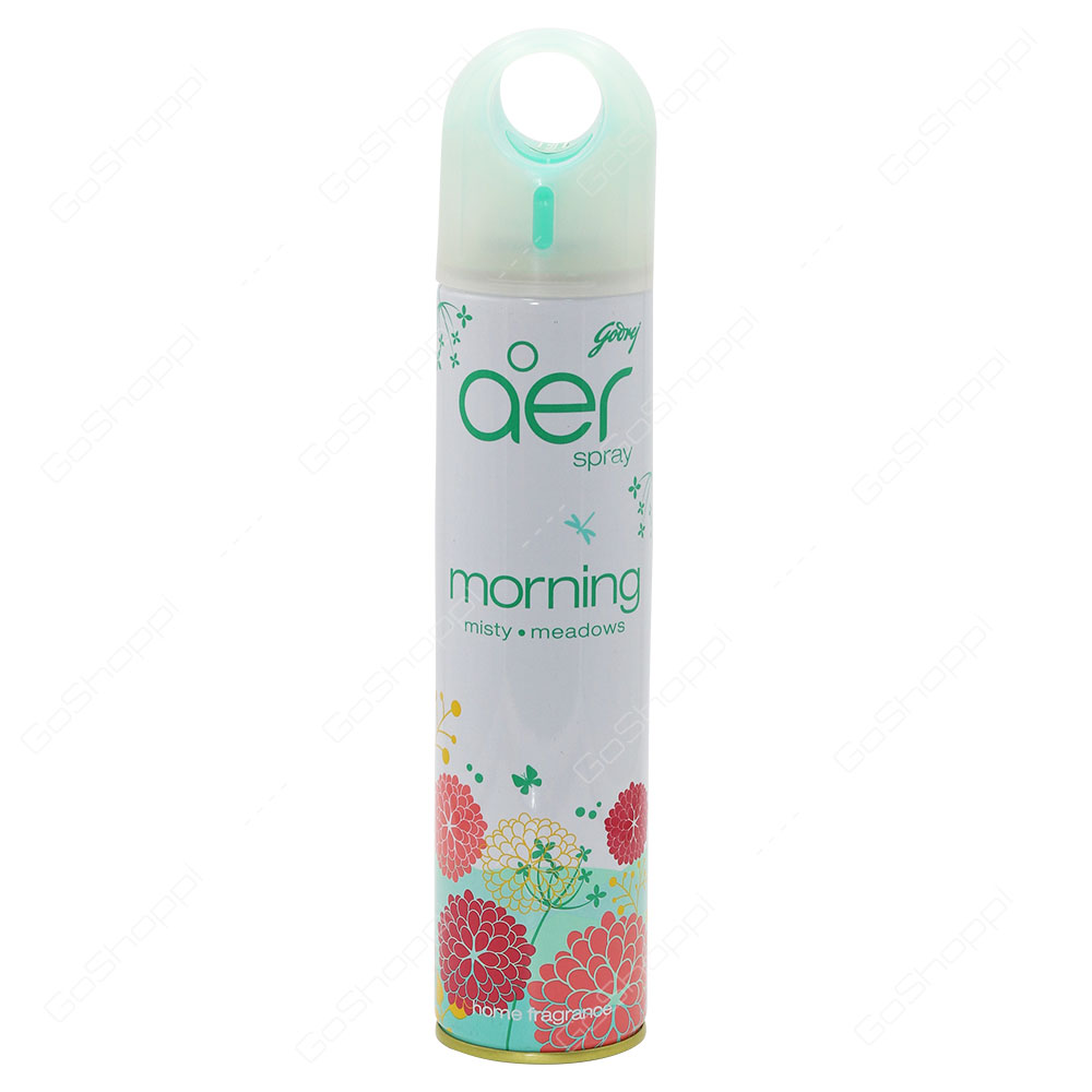 Godrej Aer Spray Morning Home Freshener 300 ml