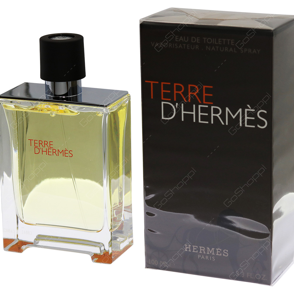 Hermes Terre De Hermes For Men Eau De Toilette 100ml