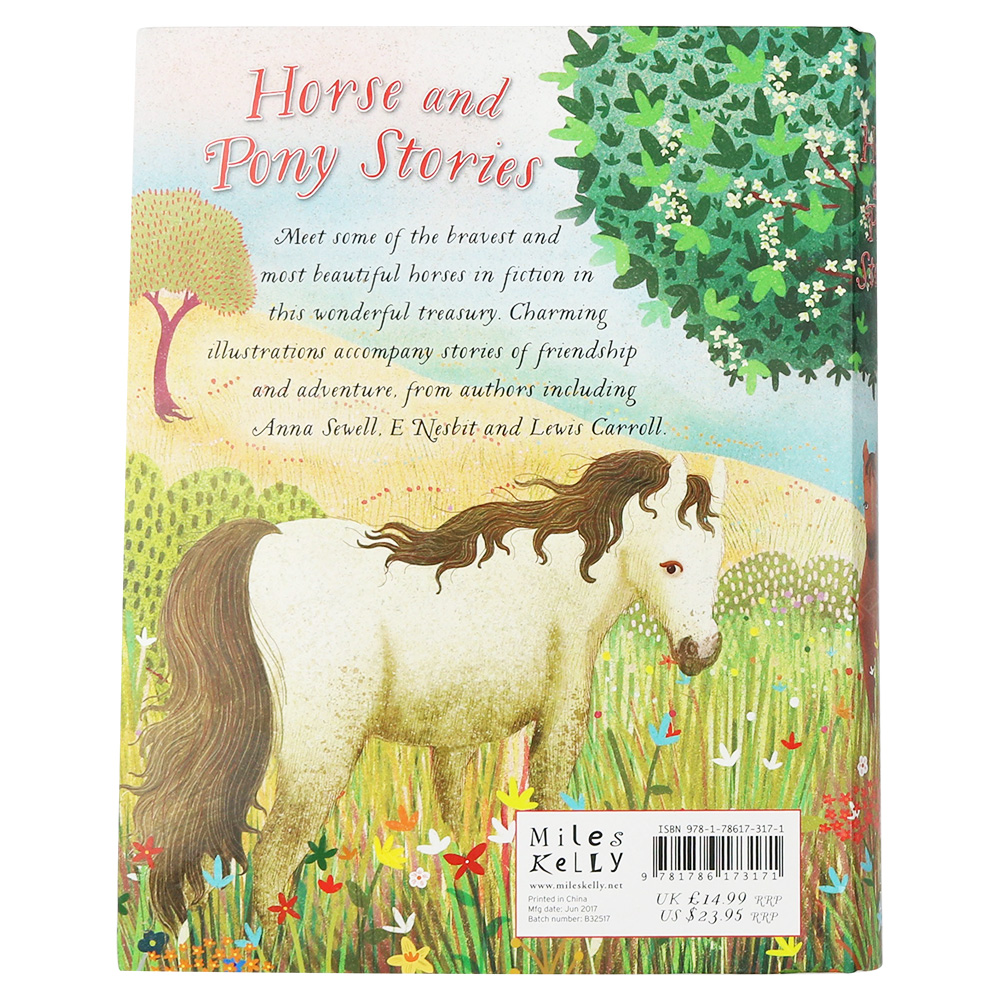 Horse And Pony Stories