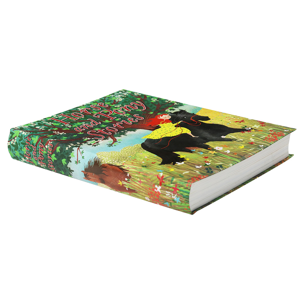 Horse And Pony Stories