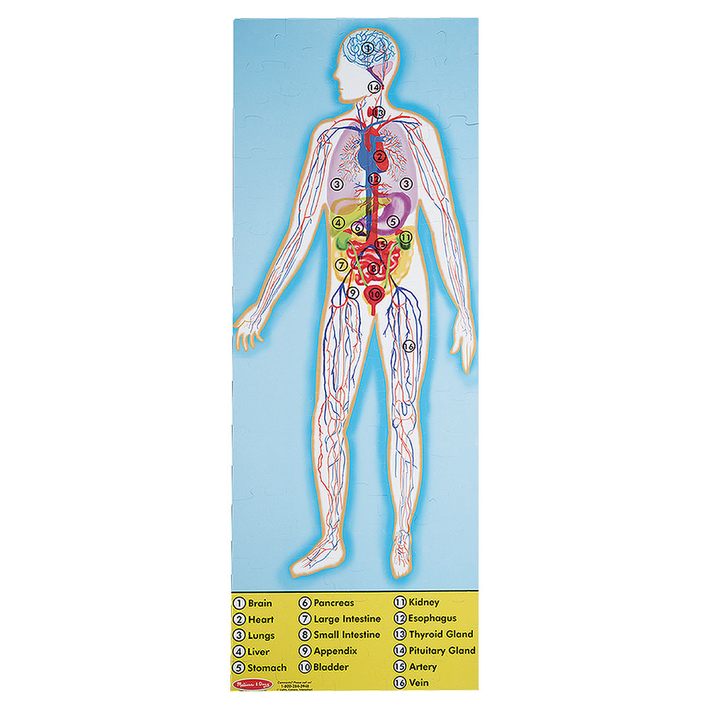 Melissa And Doug Human Anatomy 100 Pc Floor Puzzle