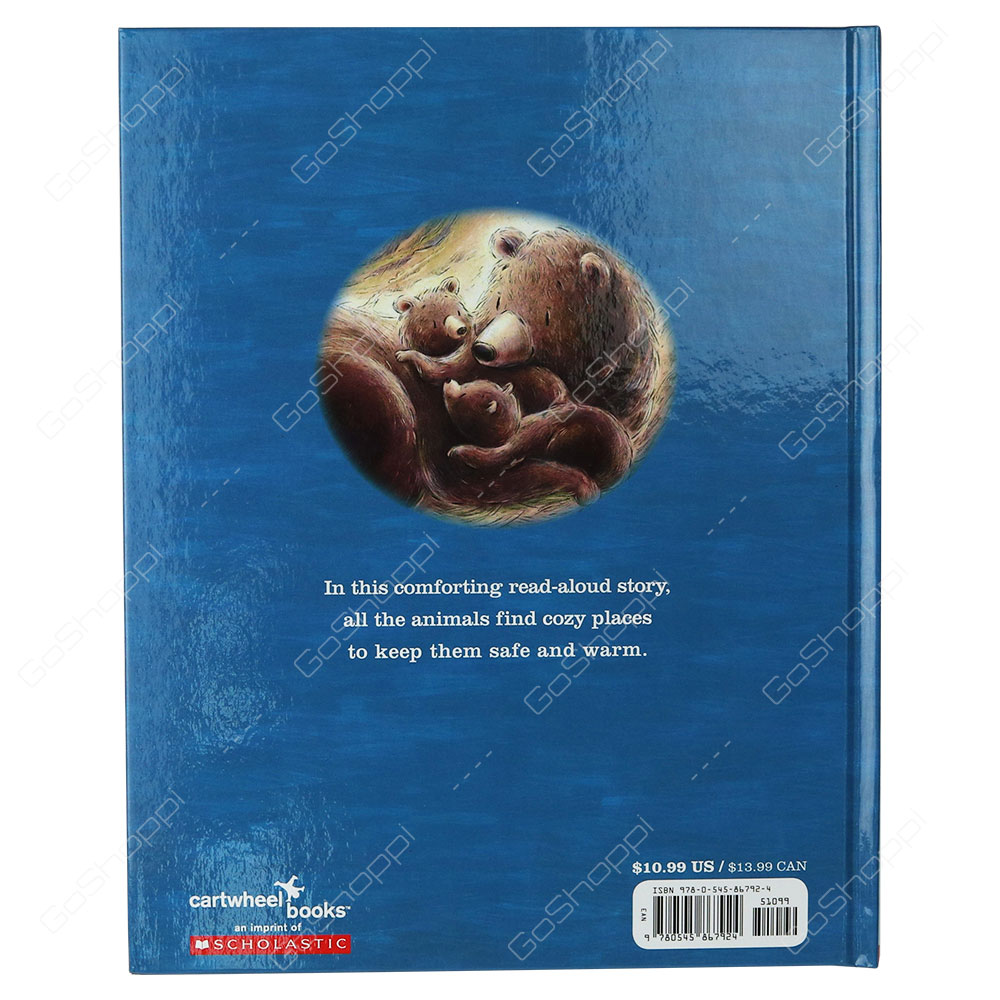 Safe In A Storm By Stephen R. Swinburne