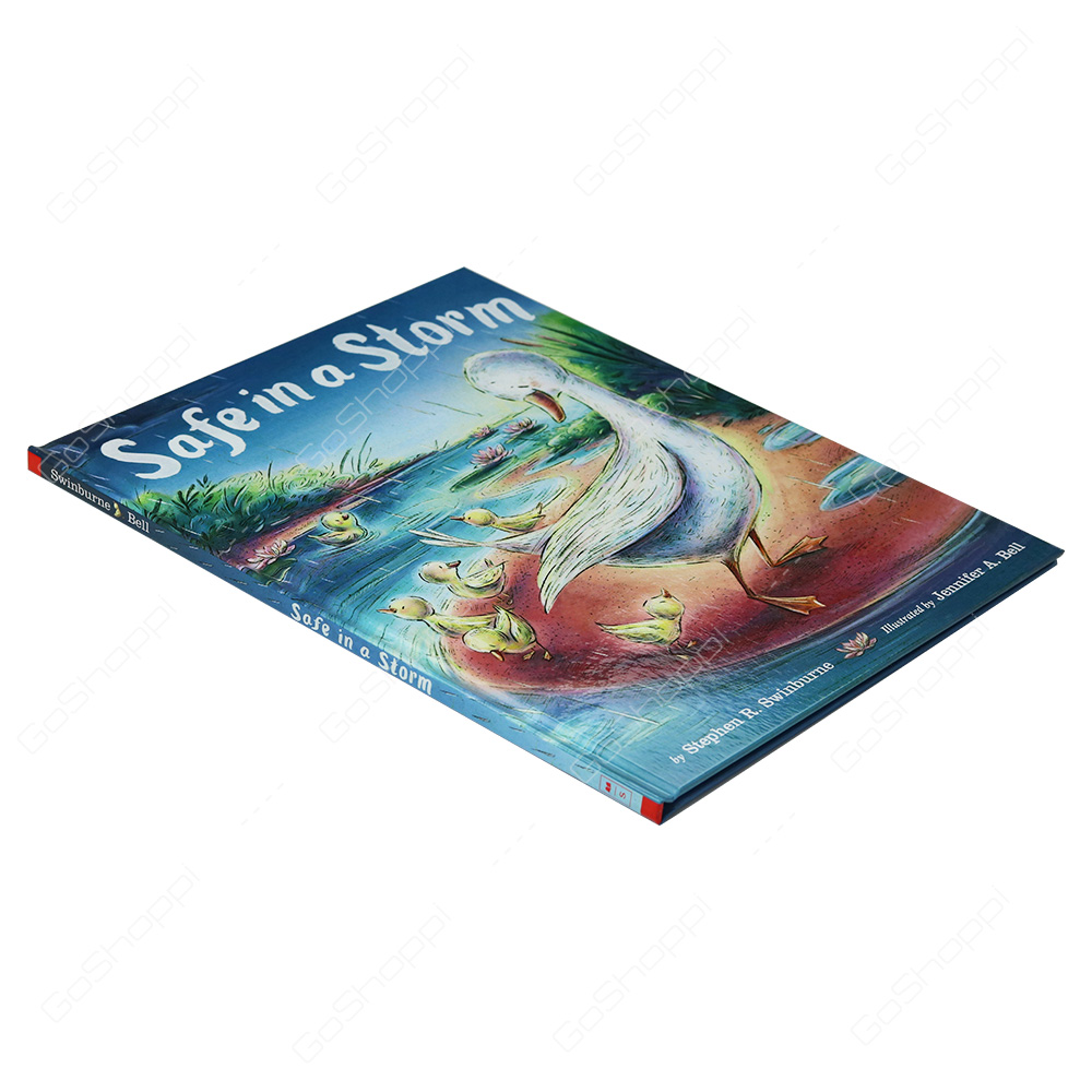 Safe In A Storm By Stephen R. Swinburne