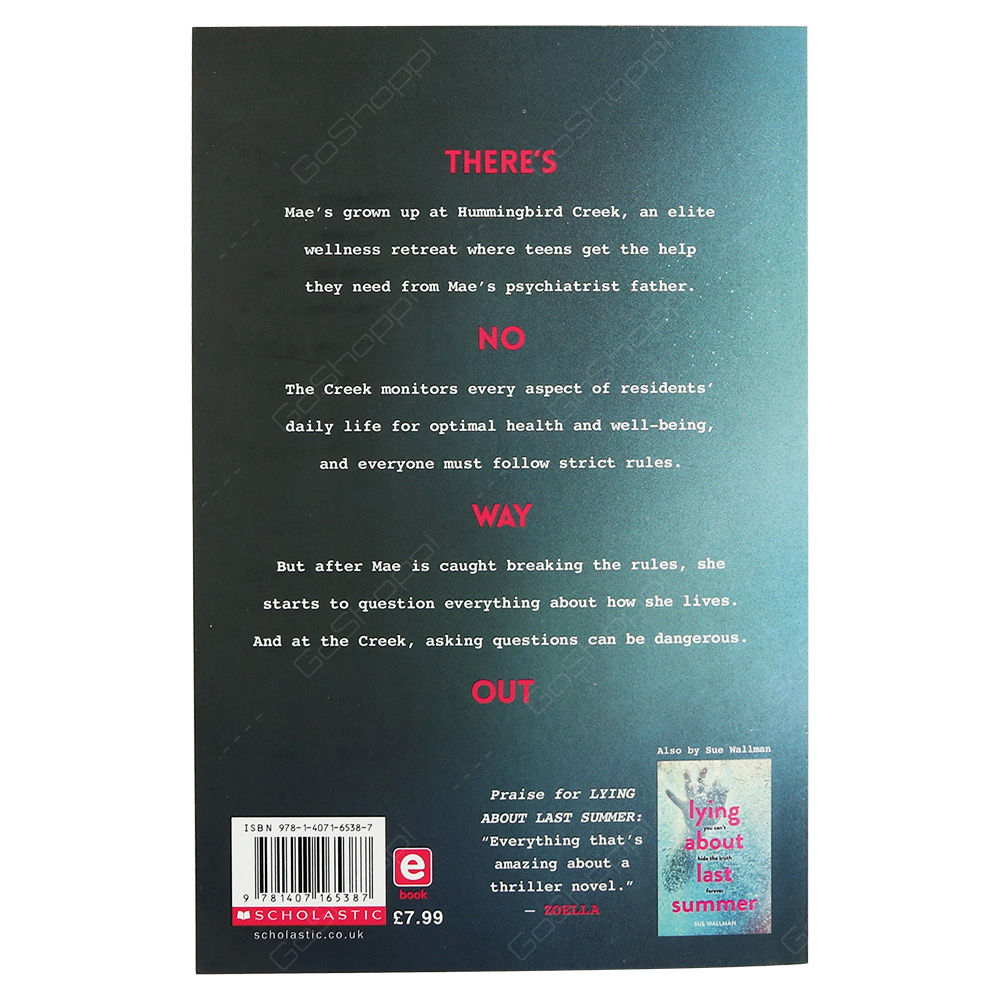 See How They Lie By Sue Wallman