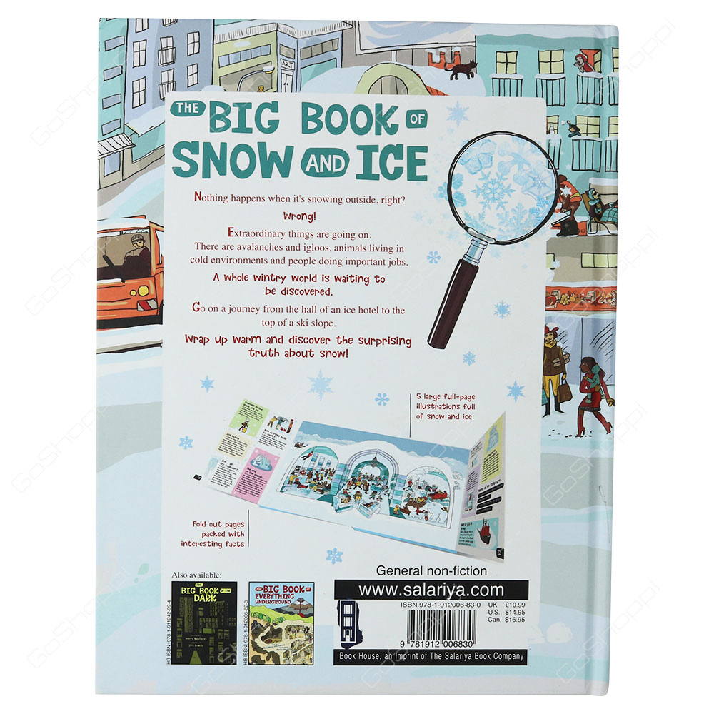 The Big Book Of Snow And Ice By Stepanka Sekaninova